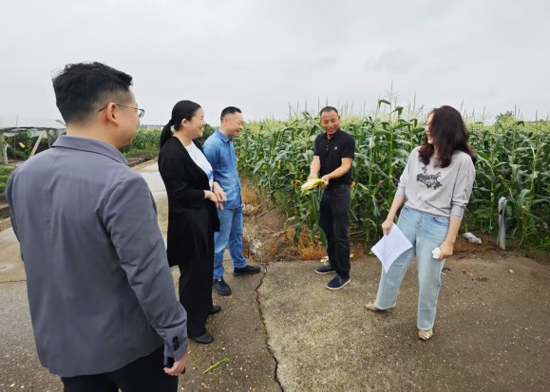 鼎城区科协、区老科协联合组织开展对老科技工作者走访慰问活动